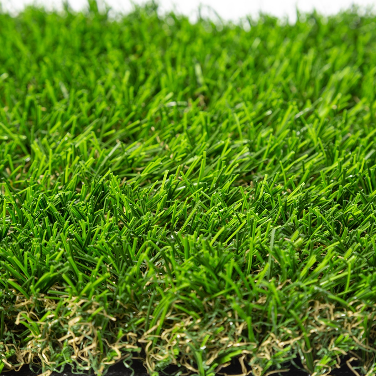 Turf1 Kentucky Blue Synthetic Turf 74 oz. Total Weight | SiteOne