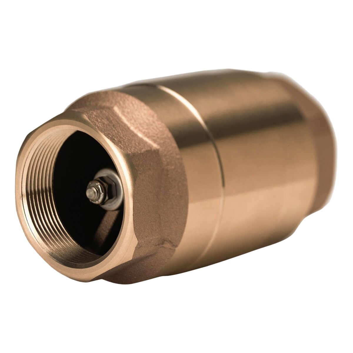 Strataflo Check Valve Brass 3 in. FIPT SiteOne