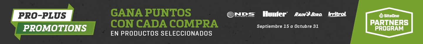 ProPlus Curated Banner