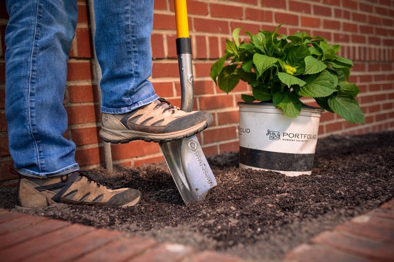 Impulsa tus beneficios con Portfolio®: el poder del color