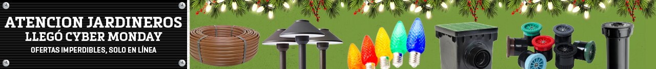 ProPlus Curated Banner