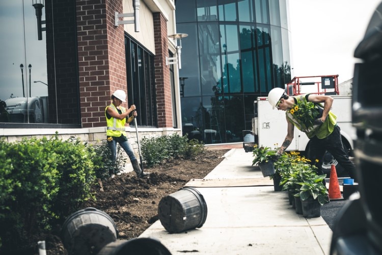 Por qué el otoño es el momento ideal para la instalación de árboles y arbustos
