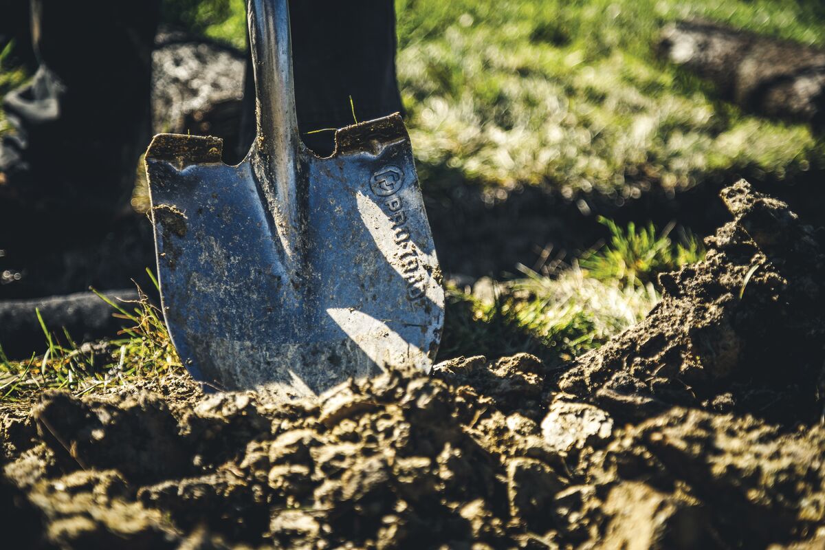 La planificación del vivero para la primavera comienza ahora