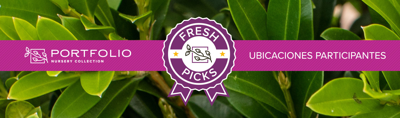 Selecciones nuevas de la cartera