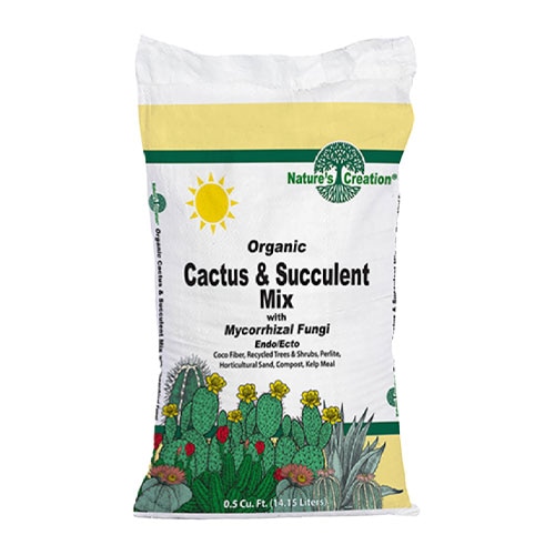 Succulent Mix