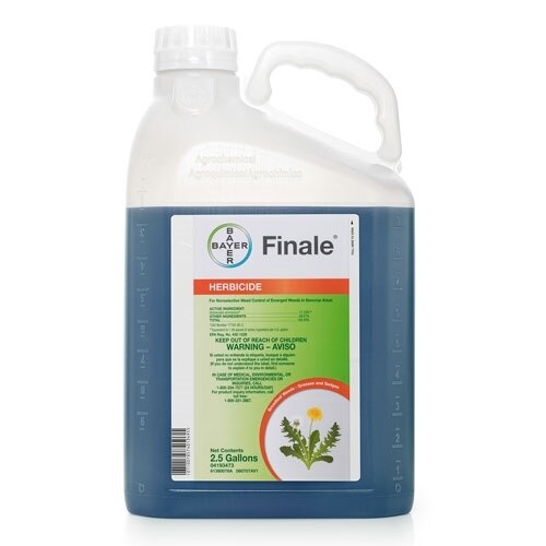Bayer finale Clearance