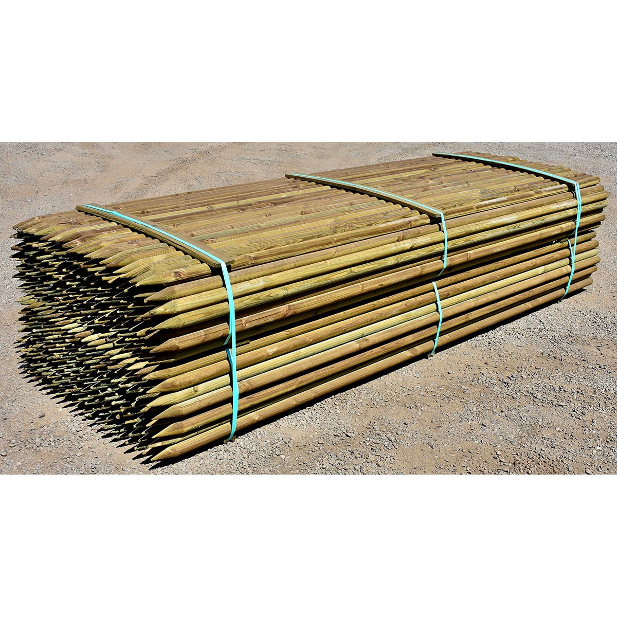 Tree Stake Lodge Pole Treated 2 in. x 2 in. x 10 ft. SiteOne