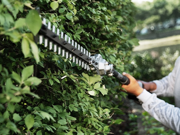 Hedge Trimmers