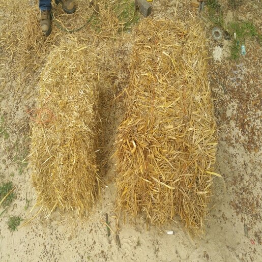 Wheat Straw Bale Siteone