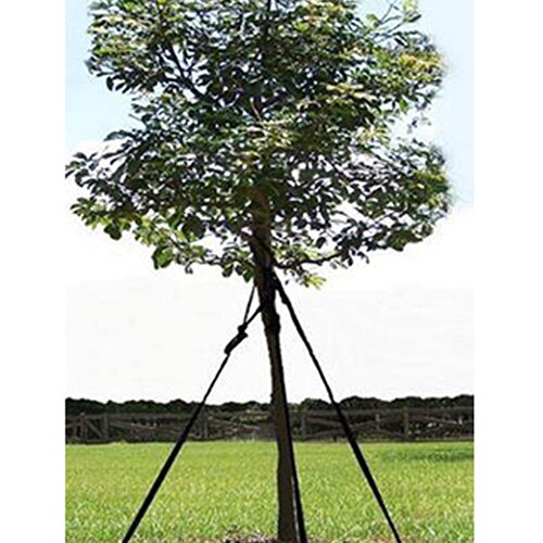 Regular Tree Tree Anchor System Black Rope With Rope & SiteOne