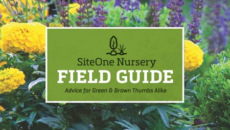 field guide