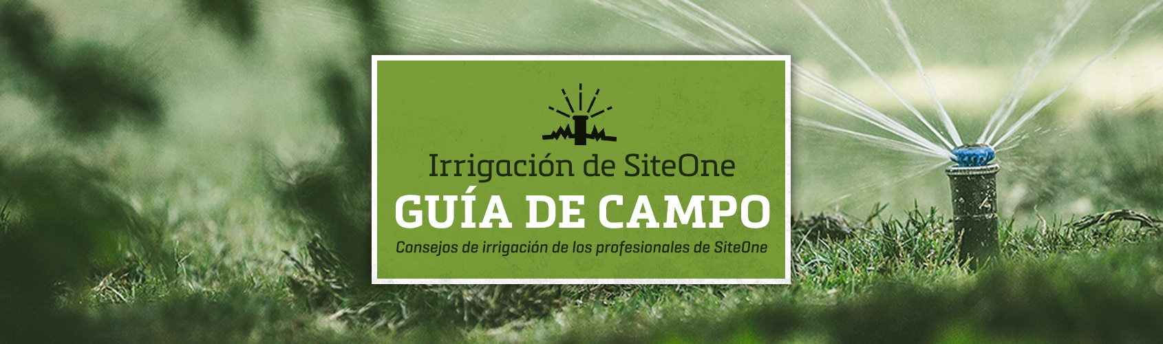 Guía de campo de riego