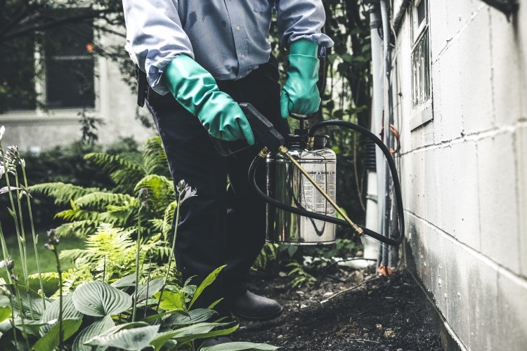 Implementación del Manejo Integrado de Plagas en operaciones de cuidado del césped