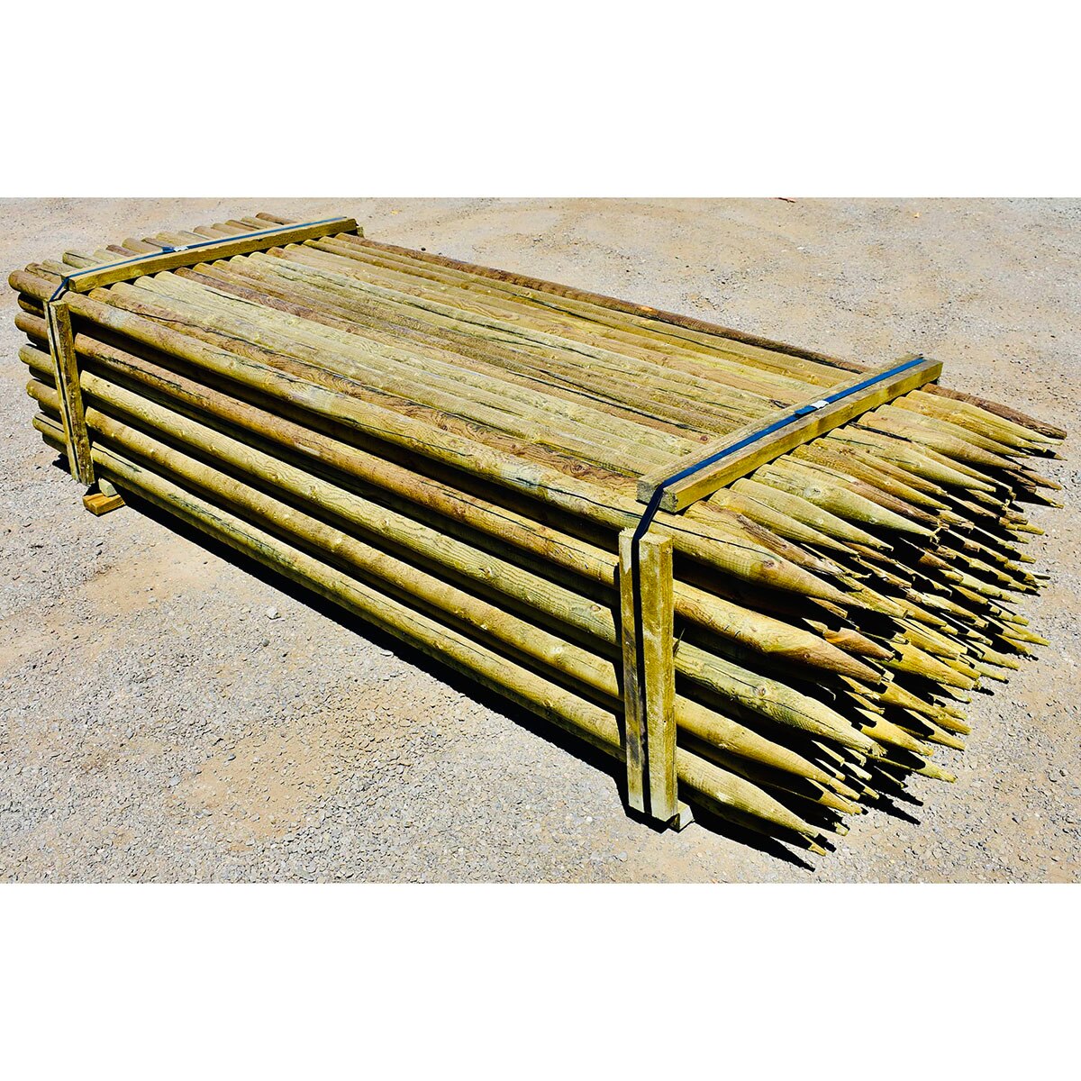 Tree Stake Treated 3 in. x 3 in. x 10 ft. SiteOne